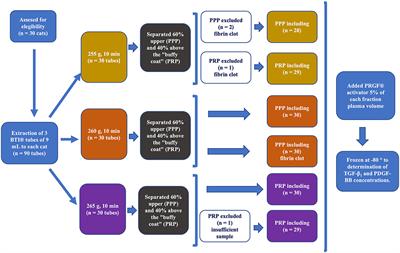 Evaluation of a Standardized Protocol for Plasma Rich in Growth Factors Obtention in Cats: A Prospective Study